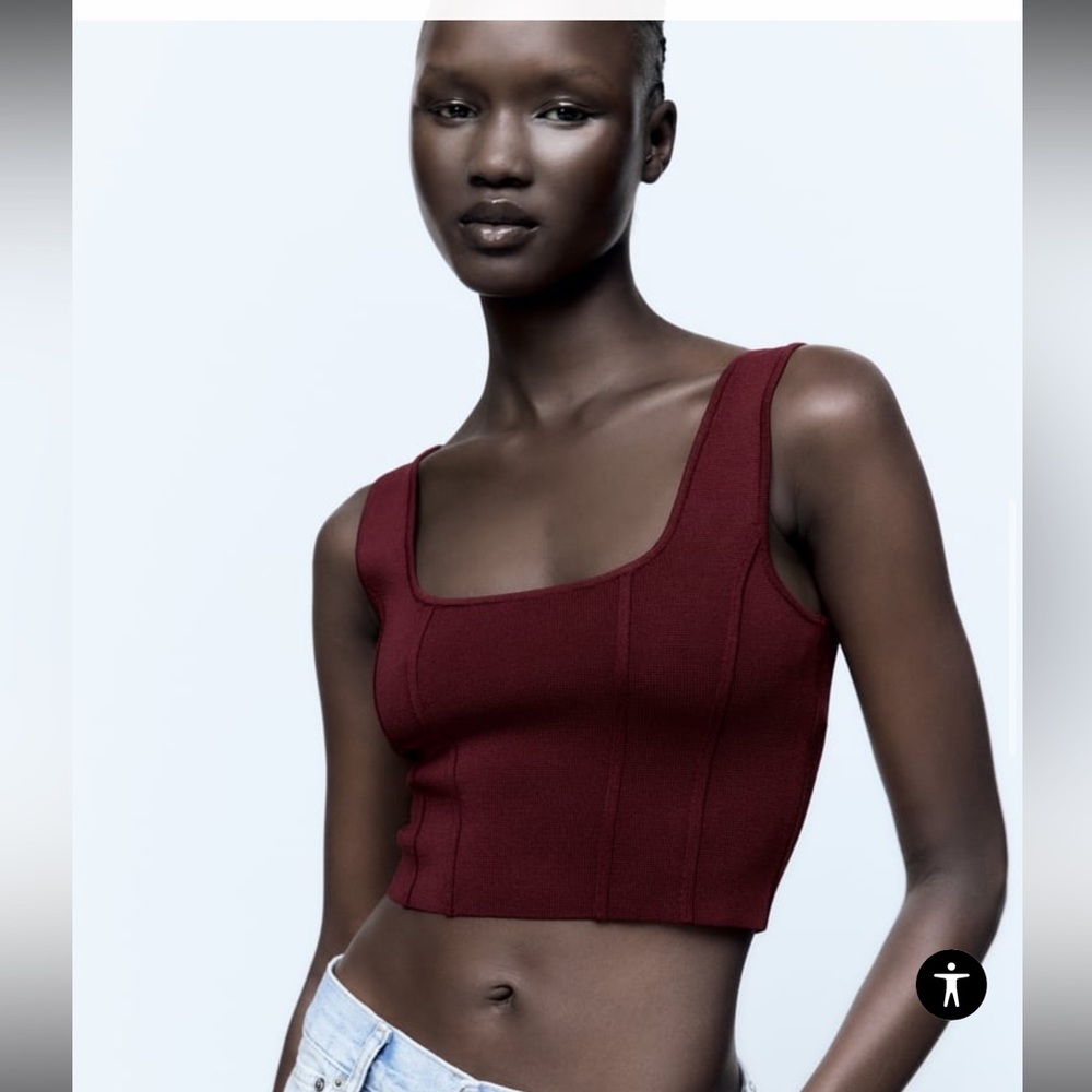 NWT Zara Maroon crop knit top